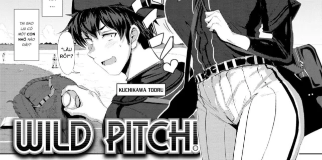 truyen-wild-pitch.jpg