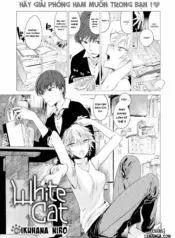 truyen-white-cat.jpg