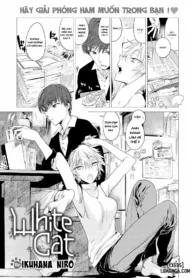 truyen-white-cat.jpg