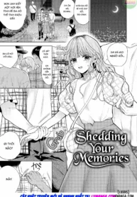 truyen-shedding-your-memorie.jpg